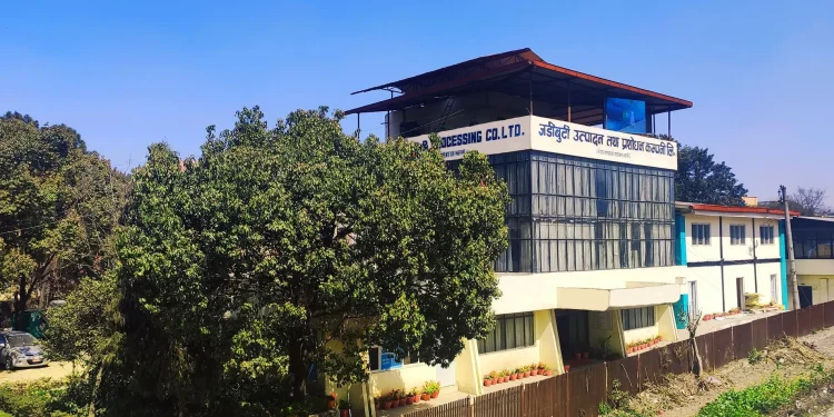 राजनीतिक द्धन्द्धले थलापरेको जडिबुटी कम्पनी