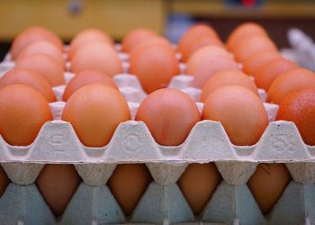 एक सातामै प्रतिक्रेट ५ सय ६० पुग्यो अन्डाको भाउ, अझै बढ्नसक्ने